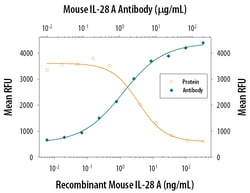 Mouse IL-28A/IFN-lambda 2 Antibody, R D Systems 25&mu;g; Unlabeled:Antibodies,