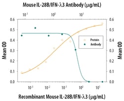 Mouse IL-28B/IFN-lambda 3 Antibody, R D Systems 100&mu;g; Unlabeled:Antibodies,