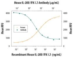 Mouse IL-28B/IFN-lambda 3 Antibody, R D Systems 500ug; Unlabeled:Antibodies,