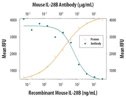 Mouse IL-28A/B (IFN-lambda 2/3) Antibody, R D Systems:Antibodies:Primary