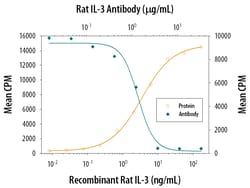 Rat IL-3 Antibody, R D Systems 25&mu;g; Unlabeled:Antibodies, Polyclonal