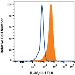 Mouse IL-38/IL-1F10 Antibody, R D Systems:Antibodies:Primary Antibodies