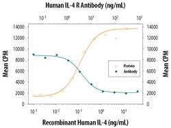 Human IL-4R alpha Antibody, R D Systems 100&mu;g; Unlabeled:Antibodies,