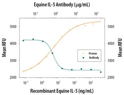 Equine IL-5 Antibody, R D Systems 100&mu;g; Unlabeled:Antibodies, Polyclonal