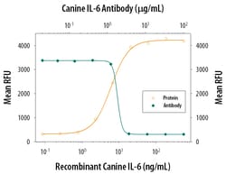 Canine IL-6 Antibody, R D Systems 100 &mu;g | Buy Online | R&D Systems | Fisher Scientific