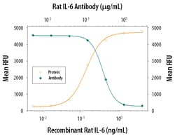 Rat IL-6 Antibody, R D Systems 25&mu;g; Unlabeled:Antibodies, Polyclonal