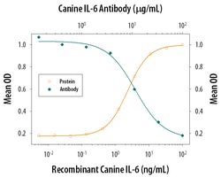 Canine IL-6 Antibody, R D Systems 25&mu;g; Unlabeled:Antibodies, Monoclonal