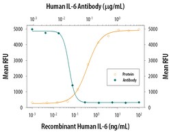 Human IL-6 Antibody, R D Systems:Antibodies:Primary Antibodies