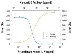 Human IL-7 Antibody, R D Systems:Antibodies:Primary Antibodies