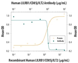 Human LILRB1/CD85j/ILT2 Antibody, R D Systems 100&mu;g; Unlabeled:Antibodies,