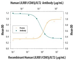 Human LILRB1/CD85j/ILT2 Antibody, R D Systems 25&mu;g; Unlabeled:Antikörper
