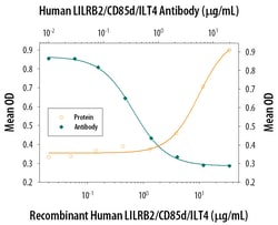 Human LILRB2/CD85d/ILT4 Antibody, R D Systems 25&mu;g; Unlabeled:Antibodies,