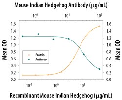 Mouse Indian Hedgehog/Ihh Antibody, R D Systems 500ug; Unlabeled:Antibodies,