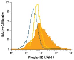 Human Phospho-Insulin R (Y1162/Y1163)/ IGF-I R (Y1135/Y1136) Antibody, R D Systems 25 &mu;g | Buy Online | R&D Systems | Fisher Scientific