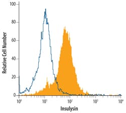 Human Insulysin/IDE Antibody, R D Systems 100ug; Unlabeled:Antibodies,