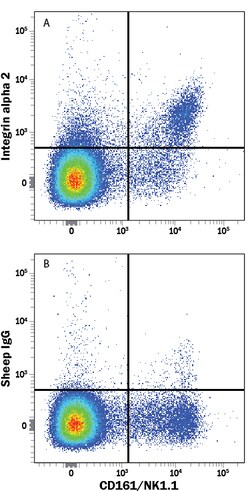 Mouse Integrin alpha 2/CD49b Antibody, R D Systems 25&mu;g; Unlabeled:Antibodies,