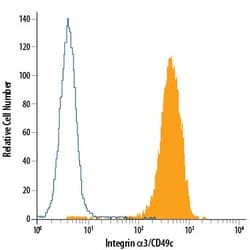 Human Integrin alpha 3/CD49c Fluorescein-conjugated Antibody, R D Systems
