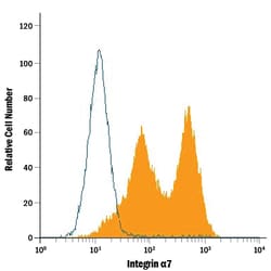 Mouse Integrin alpha 7 Antibody, R D Systems 25&mu;g; Unlabeled:Antibodies,