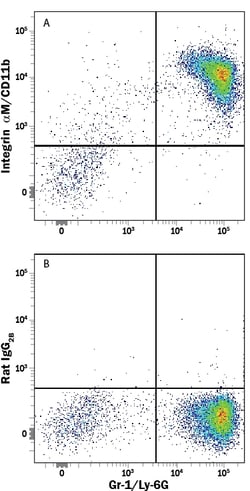Mouse Integrin alpha M/CD11b PE-conjugated Antibody, R D Systems:Antibodies:Primary