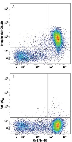 Mouse Integrin alpha M/CD11b Alexa Fluor 750-conjugated Antibody, R D Systems