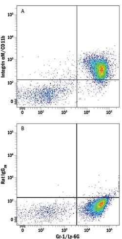 Mouse Integrin alpha M/CD11b Alexa Fluor 594-conjugated Antibody, R D Systems