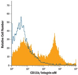Human/Equine CD11b/Integrin alpha M Antibody, R D Systems 100ug; Unlabeled:Antibodies,