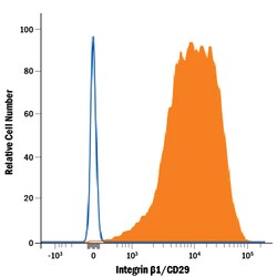 Human Integrin beta 1/CD29 Biotinylated Antibody, R D Systems 50&mu;g;
