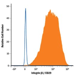 Human Integrin beta 1/CD29 Antibody, R D Systems 100ug; Unlabeled:Antibodies,
