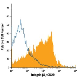 Human/Porcine/Equine Integrin beta 1/CD29 Antibody, R D Systems 25&mu;g;