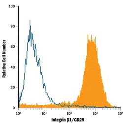 Human/Porcine/Equine Integrin beta 1/CD29 Antibody, R D Systems 25&mu;g;