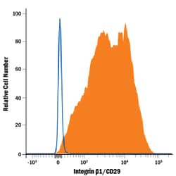 Human/Porcine/Equine Integrin beta 1/CD29 Antibody, R D Systems 25&mu;g;
