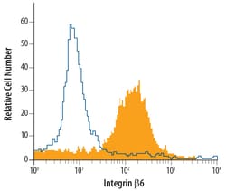 Human Integrin beta 6 Biotinylated Antibody, R D Systems 50&mu;g; Biotin:Anticorps,