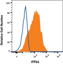 Human ITFG1 Antibody, R D Systems:Antibodies:Primary Antibodies