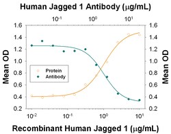 Human Jagged 1 Antibody, R D Systems 100 &mu;g | Buy Online | R&D Systems | Fisher Scientific