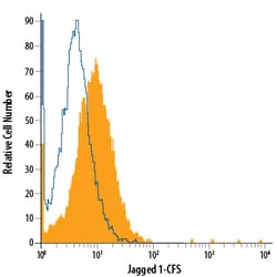Human/Mouse/Rat Jagged 1 Fluorescein-conjugated Antibody, R D Systems 100