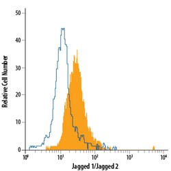 anti-Jagged 1/Jagged 2, PE, Clone: 241002, R D Systems 100 Tests; PE:Antibodies,