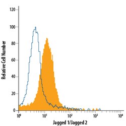 anti-Jagged 1/Jagged 2, PE, Clone: 241002, R D Systems 100 Tests; PE:Antibodies,