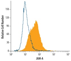 Human JAM-A Antibody, R D Systems 100ug; Unlabeled:Antibodies, Monoclonal