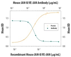 Mouse JAM-B/VE-JAM Antibody, R D Systems:Antibodies:Primary Antibodies