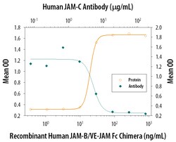 Human JAM-C Antibody, R D Systems 100&mu;g; Unlabeled:Antibodies, Polyclonal