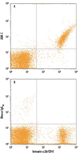 Human JAM-C APC-conjugated Antibody, R D Systems 100 Tests; APC:Antibodies,