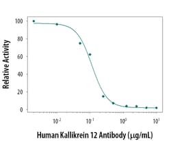 Human Kallikrein 12 Antibody, R D Systems 100ug; Unlabeled:Antibodies,