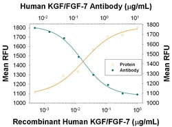 Human KGF/FGF-7 Antibody, R D Systems 500&mu;g ; Unlabeled:Antibodies,