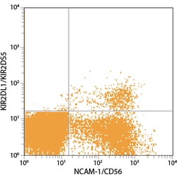 Human KIR2DL1/KIR2DS5 Fluorescein-conjugated Antibody, R D Systems:Antibodies:Primary