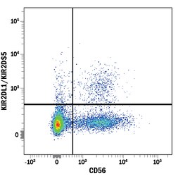 Human KIR2DL1/KIR2DS5 Alexa Fluor 488-conjugated Antibody, R D Systems:Anticuerpos:Anticuerpos