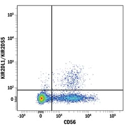 Human KIR2DL1/KIR2DS5 Alexa Fluor 700-conjugated Antibody, R D Systems