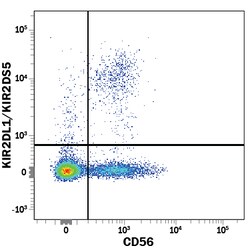 Human KIR2DL1/KIR2DS5 PE-conjugated Antibody, R D Systems 25 Tests; PE:Antibodies,
