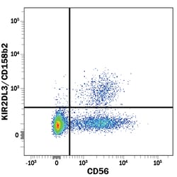 Human KIR2DL3/CD158b2 Fluorescein-conjugated Antibody, R D Systems:Antibodies:Primary