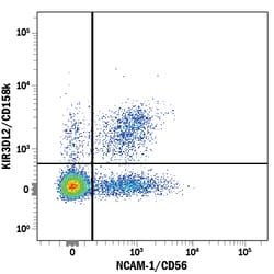 Human KIR3DL2/CD158k PE-conjugated Antibody, R D Systems:Antibodies:Primary