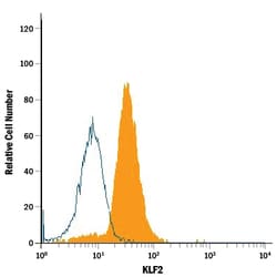 Human KLF2 APC-conjugated Antibody, R D Systems 25 Tests; APC:Antibodies,